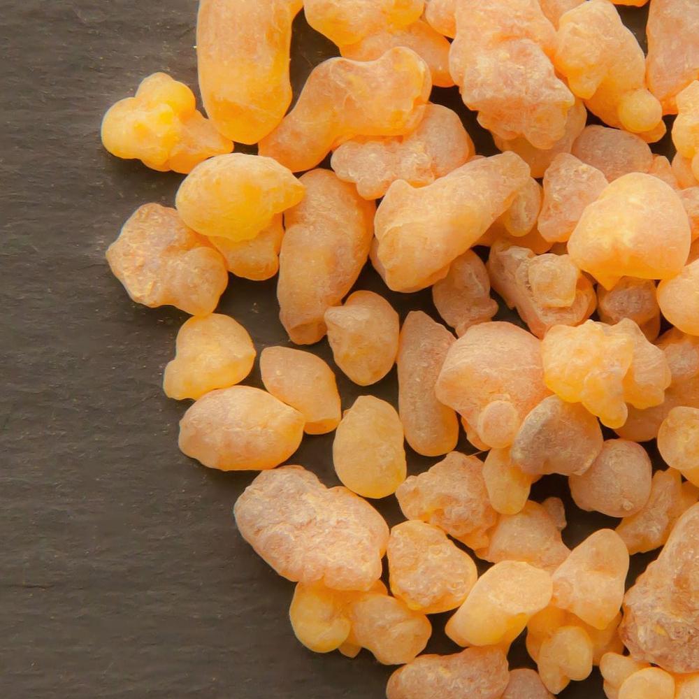 Frankincense, b. sacra/boswellia carterii by Mirapur™ Essential Oils