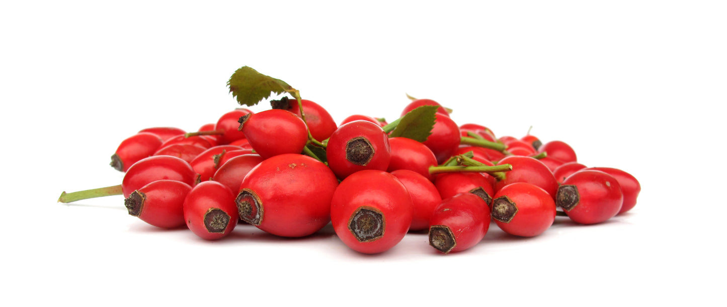Rose Hip Picture
