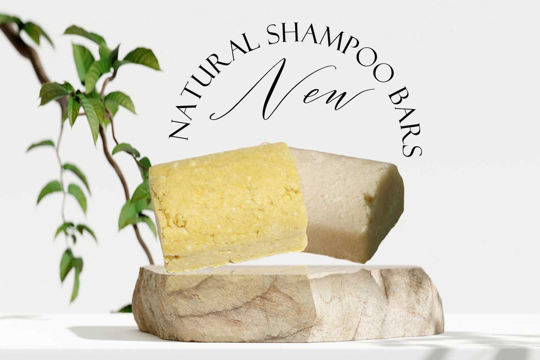 New Shampoo Formula by The Sudsy Soapery™